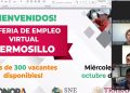 Se ofertaron más de 300 vacantes durante la Sexta Feria del Empleo Virtual Hermosillo