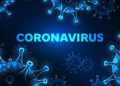 El año del Coronavirus