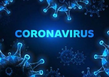 El año del Coronavirus
