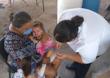 Distrubuyen en primer remesa 96 mil vacunas de influenza en todo el estado