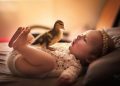 Adorables fotografías de bebés posando con animalitos