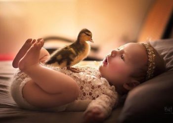 Adorables fotografías de bebés posando con animalitos