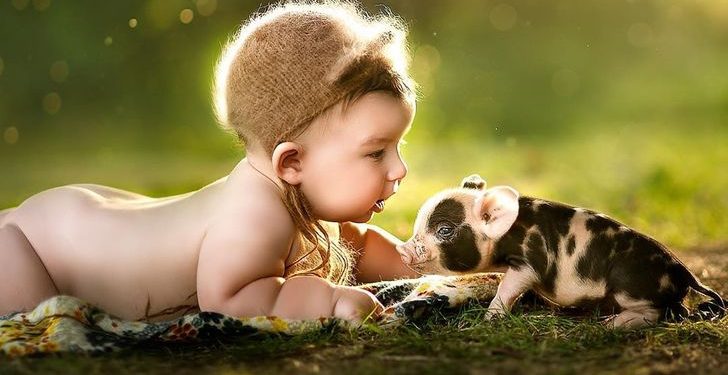 Adorables fotografías de bebés posando con animalitos