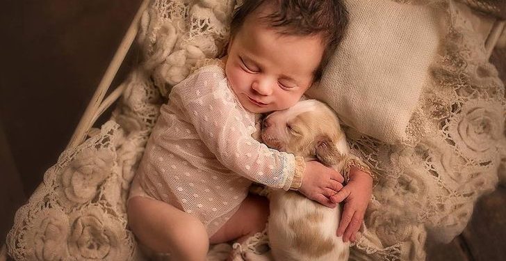 Adorables fotografías de bebés posando con animalitos