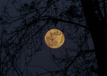 Bellos fenómenos astronómicos que podremos ver en octubre