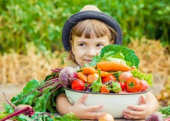 Consejos para una dieta infantil saludable