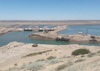 Acuacultura sonorense a la vanguardia a nivel nacional