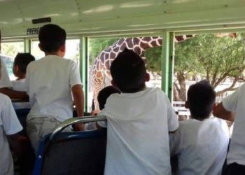 Diputado busca proteger los derechos de los niños en Sonora