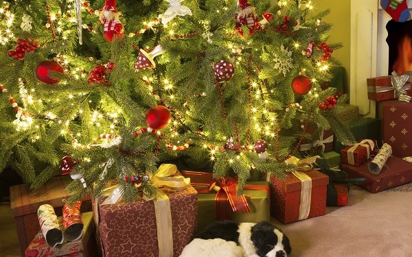 Así vive la Navidad cada signo del Zodiaco