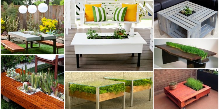 Convierte tu mesa en un jardín