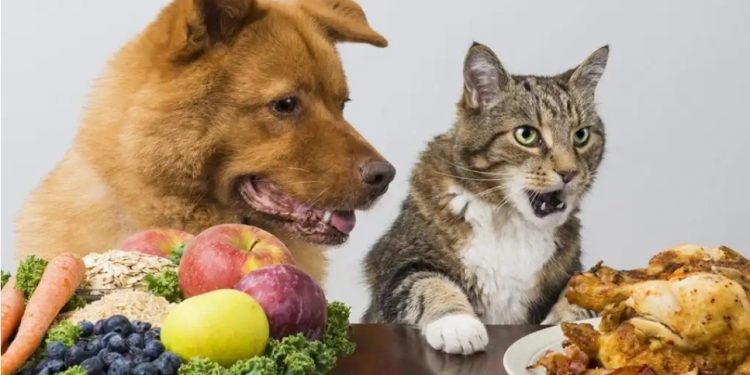 La dieta vegana para las mascotas tiene sus consecuencias