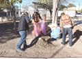 Regidores y autoridades municipales van por el rescate de la vegetación en riesgo en planteles escolares