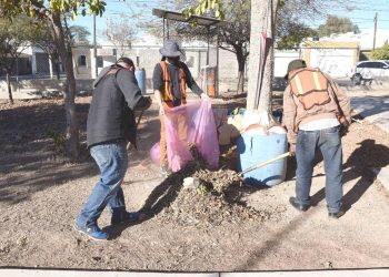 Regidores y autoridades municipales van por el rescate de la vegetación en riesgo en planteles escolares