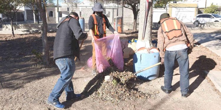 Regidores y autoridades municipales van por el rescate de la vegetación en riesgo en planteles escolares