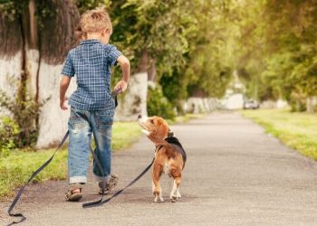 Consejos para elegir la mascota adecuada para su familia