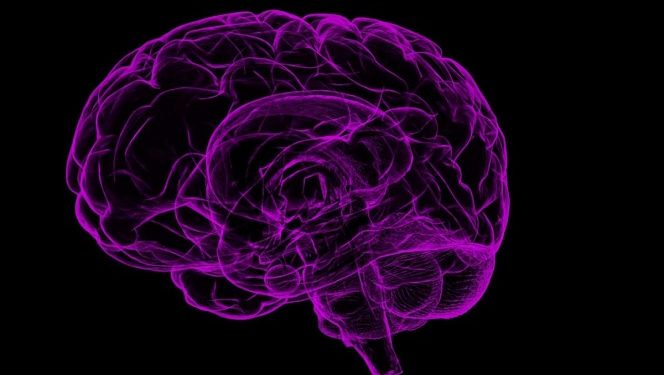 Esto le pasa al cerebro cuando discutes con alguien