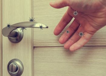 Mayor peligro y transmisión del COVID-19 viene de personas asintomáticas