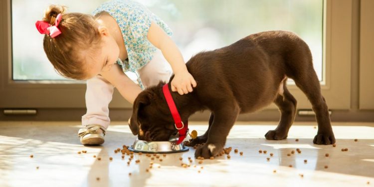Cómo enseñar a los niños a cuidar de las mascotas