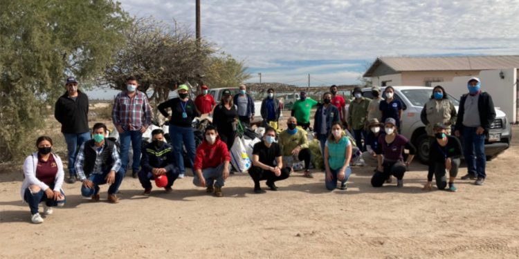 Participan en limpieza de humedal en Bahía Kino estudiantes y profesores de Unison
