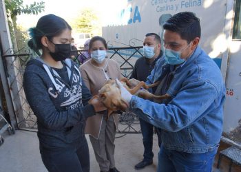 Llevan a colonia Altares jornada de esterilización y vacunación de mascotas