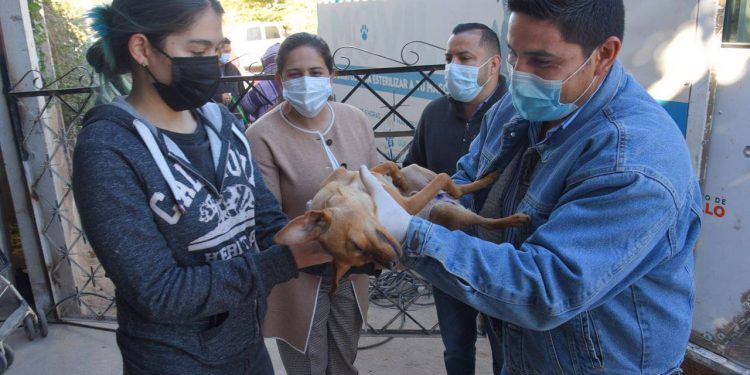 Llevan a colonia Altares jornada de esterilización y vacunación de mascotas