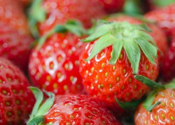 Los mejores alimentos para reponer el colágeno de tu piel