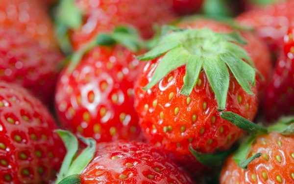 Los mejores alimentos para reponer el colágeno de tu piel