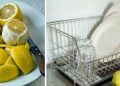 Limpiadores caseros orgánicos hechos con cáscara de limón