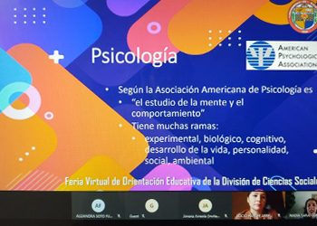 La intervención del profesional de psicología en la salud mental