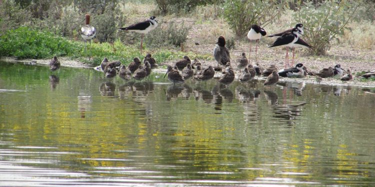 Buscará Ayuntamiento de Hermosillo declaratoria de 2 nuevos espacios como zonas naturales protegidas