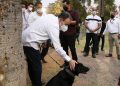 Proponemos Veterinarias públicas para la atendención animales de la calle: Alfonso Durazo.