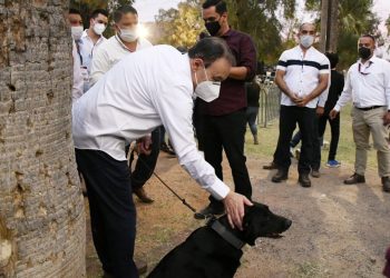 Proponemos Veterinarias públicas para la atendención animales de la calle: Alfonso Durazo.