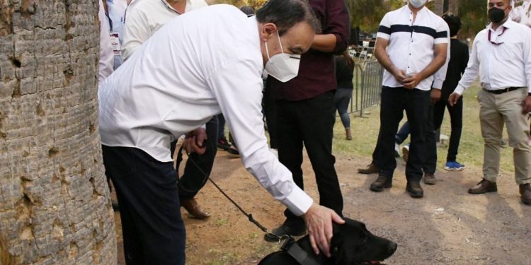 Proponemos Veterinarias públicas para la atendención animales de la calle: Alfonso Durazo.