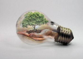 Maneras en que la tecnología nos ayuda a luchar contra el cambio climático