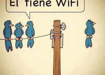 Pájaros en el alambre