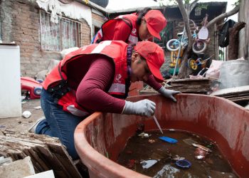 La incidencia de casos de dengue en Sonora a baja en 99%