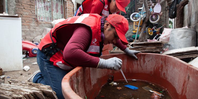 La incidencia de casos de dengue en Sonora a baja en 99%