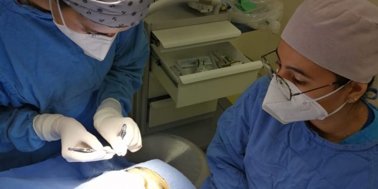 Sonora destaca a nivel nacional en trasplantes renales y córneas