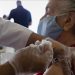 Hacen llamado a continuar con cuidados tras vacunación contra Covid-19