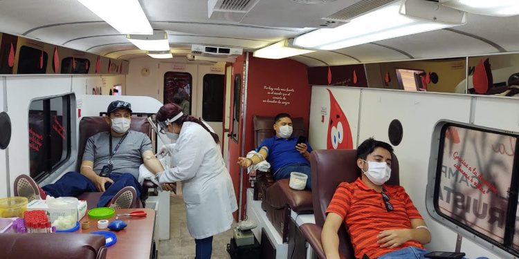 Celebran el Día Mundial del Donante de Sangre