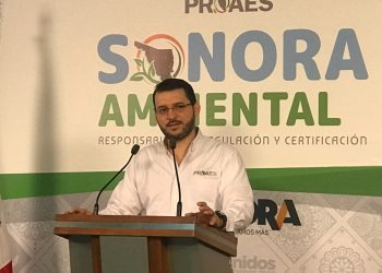 Anuncian próxima jornada de reforestación en “El Cárcamo”