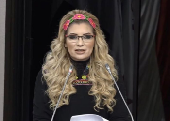 Solicita Diputada agilizar retenes militares priorizando tiempo y salud de los sonorenses