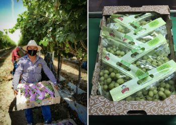 Es Sonora un estado ideal para invertir, exportar y abrir empresas