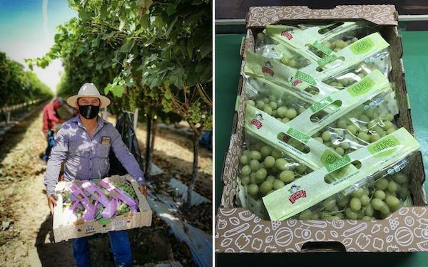 Es Sonora un estado ideal para invertir, exportar y abrir empresas