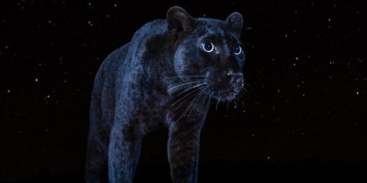 La naturaleza en todo su explendor