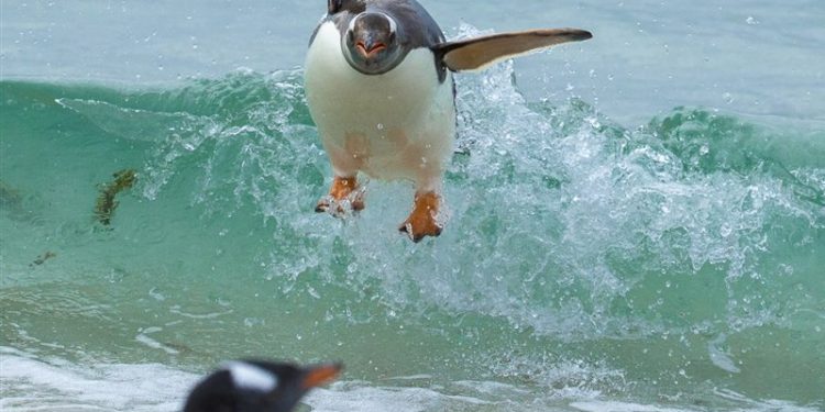 La naturaleza en todo su explendor