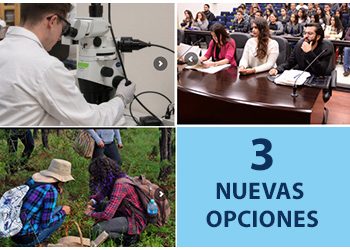 Aprueba Colegio Académico de Unison tres nuevos programas educativos