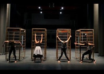 Participa Unison en Encuentro de estudiantes de escuelas de danza contemporánea