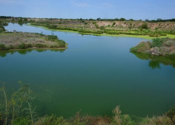 Buscan que Ecoparque sea declarado Área Natural Protegida