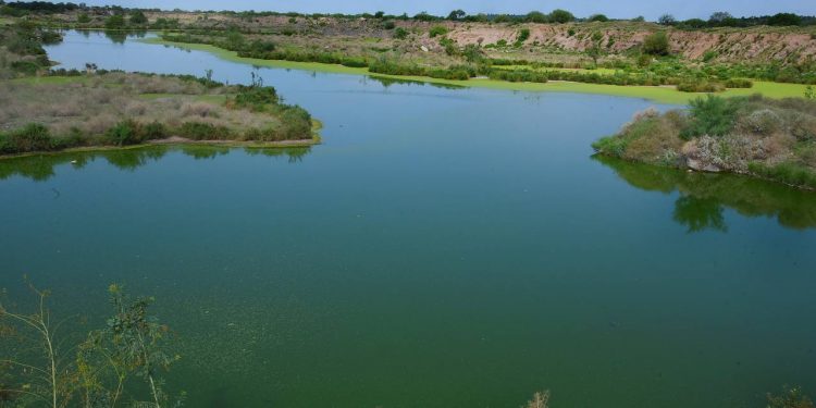 Buscan que Ecoparque sea declarado Área Natural Protegida